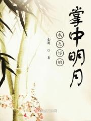 我是你的掌中明月是什么歌