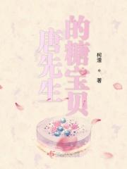 唐先生宠我免费阅读
