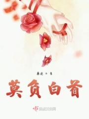 不负白首什么意思