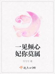 一见倾心原著