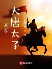 大唐我是太子我退位