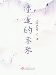 迷途未来800字议论文
