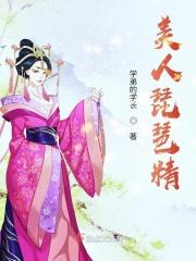 美人抱琵琶的诗句