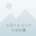 傻丫头模版