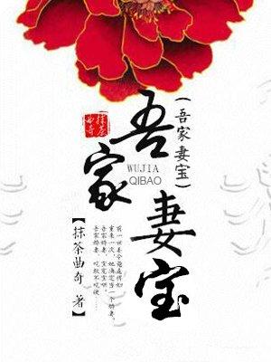 吾家妻宝全文免费阅读无弹窗