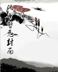 大当家的媳妇叫什么