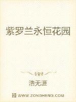 紫罗兰永恒花园作者