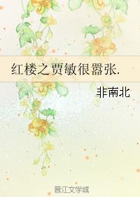 红楼之贾敏威武