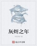 灰烬之前 评测