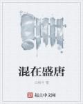 混在大唐gl鸣宇