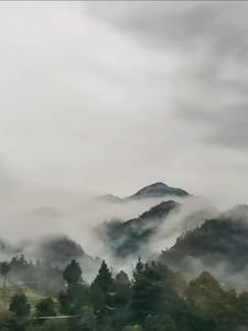 神秘复苏的境界划分