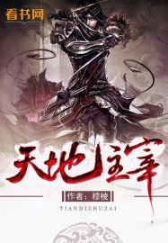 天地主宰vs静涛君