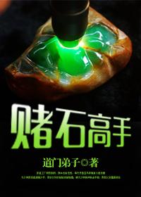 赌石高手高阳温婉婷