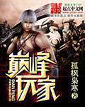 巅峰玩家 无错