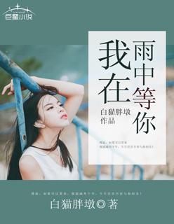 我在雨中等你经典英文台词