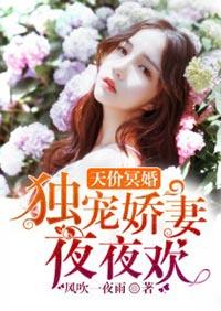 天价娇妻 夜帝的独家宠婚