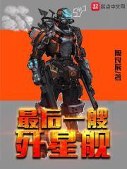 最后的军舰