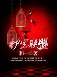 护宝联盟多少集
