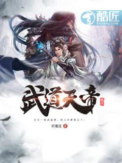 武道天帝境界等级