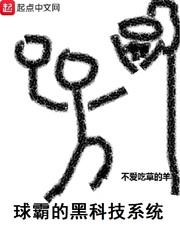 什么是球霸