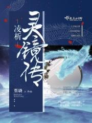 灵镜传奇分集介绍