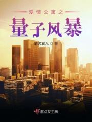 爱情公寓之风流子乔全集 微云