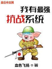 我有最强抗战系统 第198章