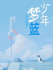 少年梦歌曲